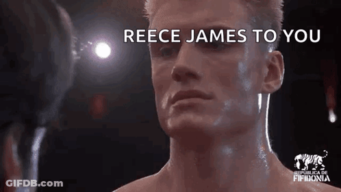 A Man In A Boxing Ring With The Words `` Reece James To You '' Written On The Bottom Of His Face . GIF