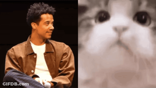 A Man In A Brown Jacket Sits Next To A Picture Of A Cat 'S Face GIF