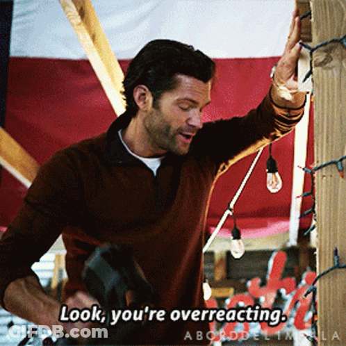 A Man In A Brown Sweater Says Look You 'Re Overreacting In Front Of A Flag GIF