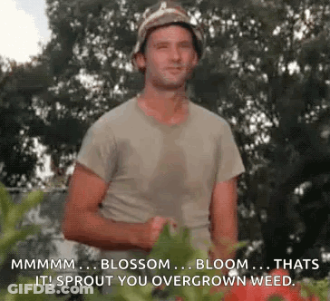 A Man In A Bucket Hat Is Standing In Front Of A Bunch Of Plants And Flowers . GIF