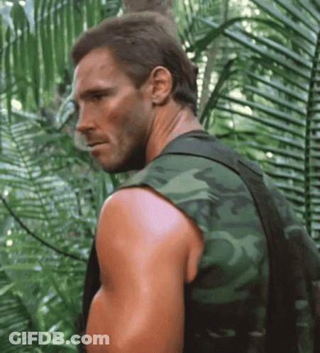 A Man In A Camouflage Vest Stands In A Jungle GIF