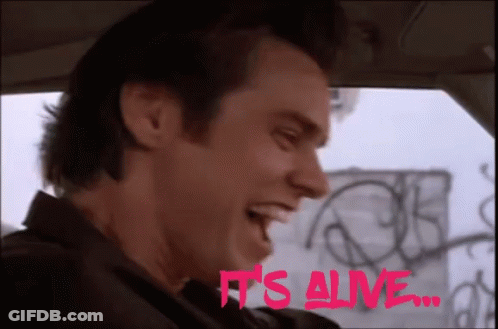 A Man In A Car With The Words It 'S Alive In Pink GIF