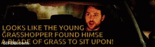 A Man In A Car With The Words Looks Like The Young Grasshopper Found Himse A Blade Of Grass To Sit Upon Written Below Hi GIF