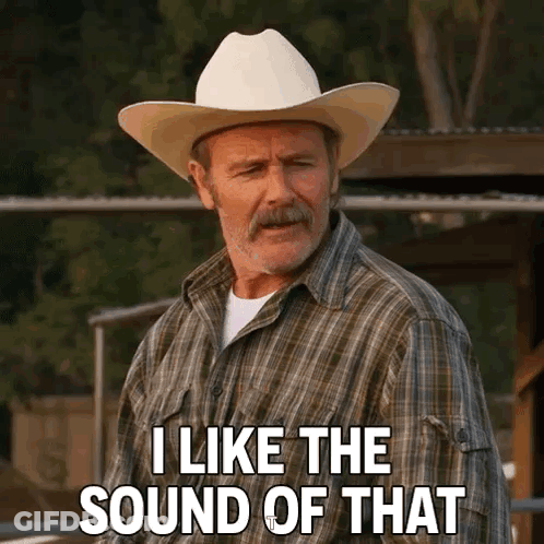 A Man In A Cowboy Hat And Plaid Shirt Says I Like The Sound Of That GIF