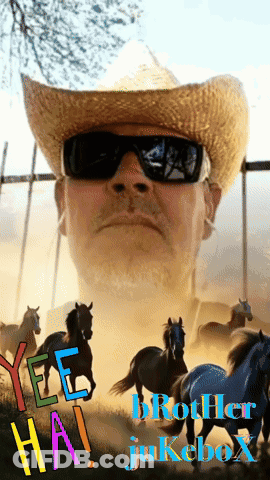 A Man In A Cowboy Hat And Sunglasses Stands In Front Of A Herd Of Horses With The Words Yee Ha Brother Jukebox GIF