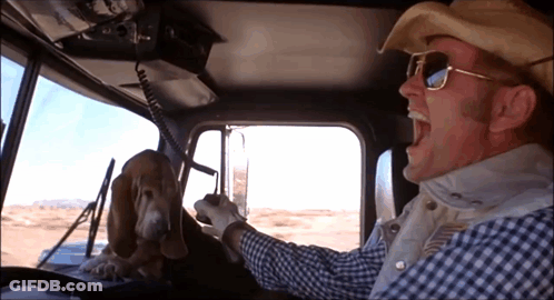 A Man In A Cowboy Hat Driving A Truck With A Dog GIF
