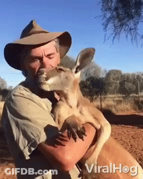 A Man In A Cowboy Hat Is Holding A Kangaroo In His Arms .. GIF