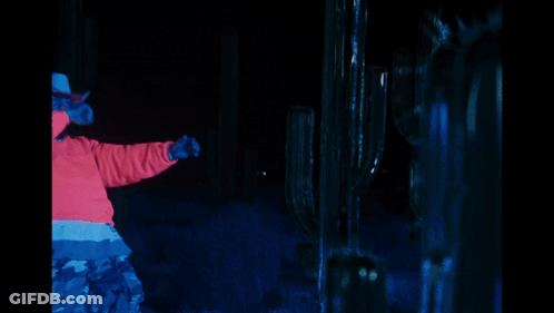 A Man In A Cowboy Hat Is Standing In Front Of A Cactus In The Dark GIF