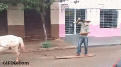 A Man In A Cowboy Hat Is Standing On A Wooden Board Next To A White Horse . GIF
