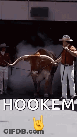 A Man In A Cowboy Hat Leads A Longhorn Bull With The Words Hookem Written On The Bottom GIF