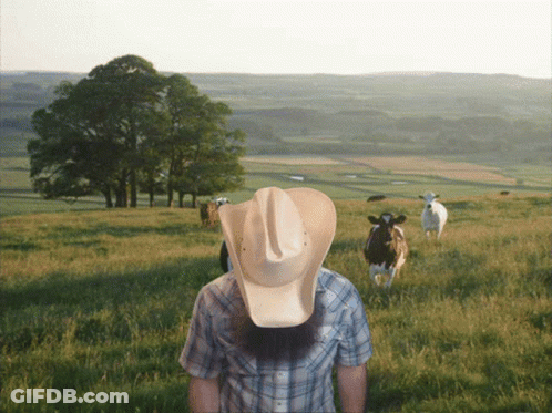 A Man In A Cowboy Hat Stands In A Grassy Field With Cows GIF