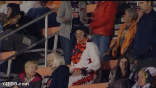 A Man In A Elvis Costume Stands In The Stands GIF