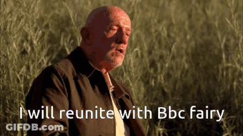 A Man In A Field With The Words " I Will Reunite With Bbc Fairy " Above Him GIF