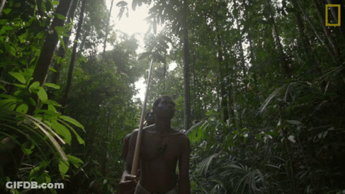 A Man In A Forest With A National Geographic Logo On The Bottom Right GIF