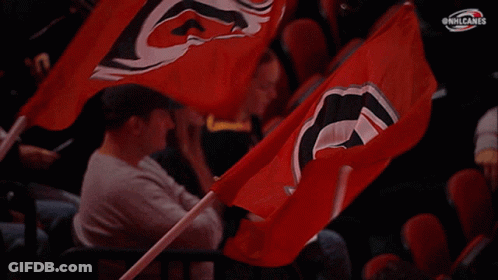 A Man In A Gray Shirt Holds A Red Flag With A Hurricanes Logo On It GIF