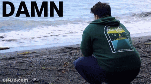A Man In A Green Hoodie Squatting On A Beach With The Word Damn Written Above Him GIF
