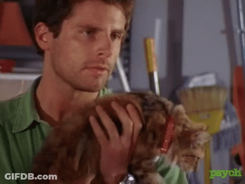 A Man In A Green Shirt Is Holding A Cat In His Lap . GIF