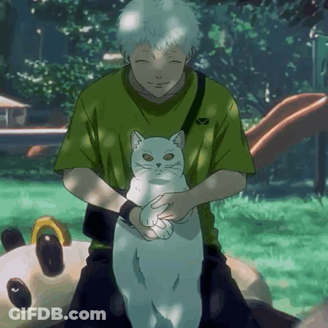 Man In Green Shirt Holding White Cat In Park GIF