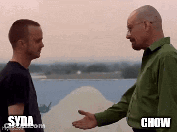 A Man In A Green Shirt Is Shaking Hands With Another Man In A Black Shirt In Front Of A Body Of Water . GIF