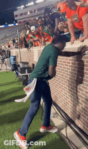 A Man In A Green Shirt Stands On A Brick Wall GIF