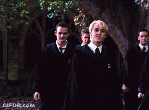A Man In A Harry Potter Uniform Has A Crest On His Collar That Says ' Slytherin ' GIF