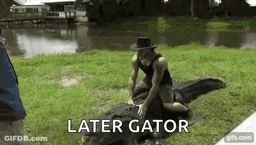 A Man In A Hat Is Kneeling On Top Of A Large Alligator In The Grass . GIF