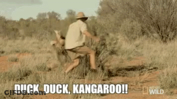 A Man In A Hat Is Running Away From A Kangaroo . GIF