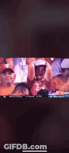 A Man In A Hat Is Sitting In The Stands Watching A Game GIF