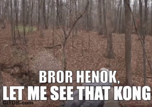 A Man In A Hat Is Standing In The Woods And Says `` Bror Henok , Let Me See That Kong '' GIF