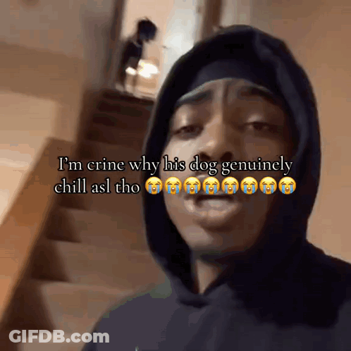 A Man In A Hoodie Says I 'M Crying Why His Dog Genuinely Chill Asl Tho GIF