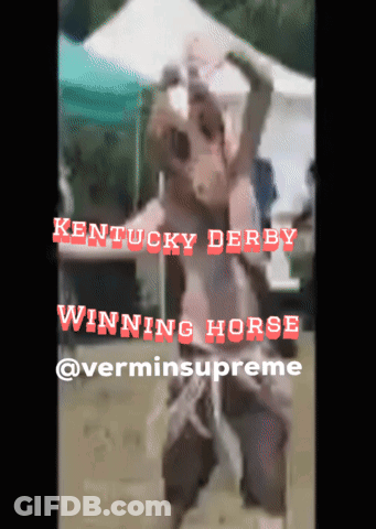 A Man In A Horse Costume Is Dancing In Front Of A Tent With Kentucky Derby Winning Horse Written On The Bottom GIF