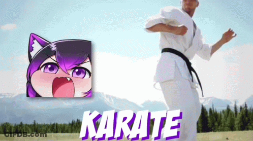 A Man In A Karate Uniform Is Standing In Front Of A Mountain GIF