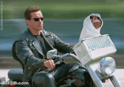 A Man In A Leather Jacket Is Riding A Motorcycle With A Monkey In A Basket . GIF