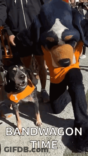 A Man In A Mascot Costume Is Kneeling Next To A Dog Wearing An Orange Bandana . GIF