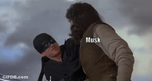 A Man In A Mask Is Being Held By Another Man With Musk Written On The Back GIF