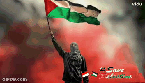 A Man In A Mask Is Holding A Palestinian Flag With The Words " Save Palestine " On The Bottom GIF