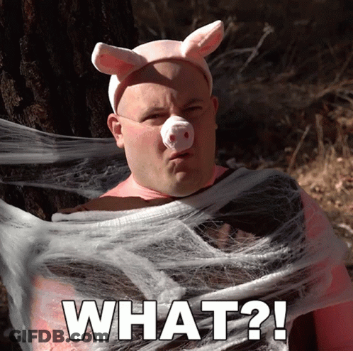 A Man In A Pig Costume Says What ? GIF