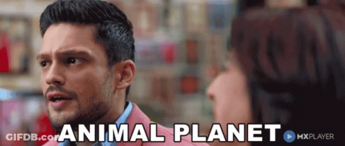 A Man In A Pink Suit Is Talking To A Woman And The Words Animal Planet Are Above Him GIF