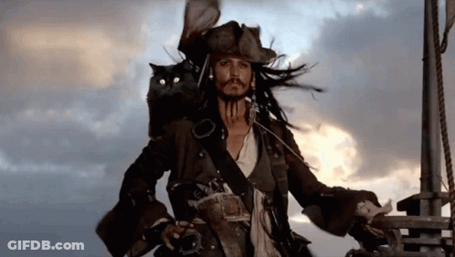 A Man In A Pirate Costume Is Carrying A Cat On His Back . GIF