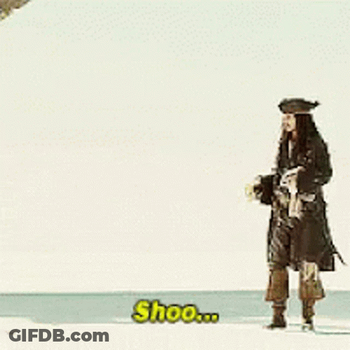 A Man In A Pirate Costume Is Standing On A Beach And Says Shoo ... GIF