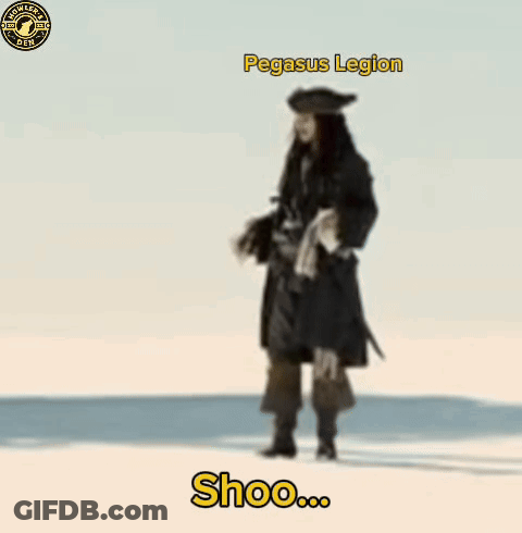 A Man In A Pirate Outfit Is Standing On A Beach With The Words Pegasus Legion Written Above Him GIF