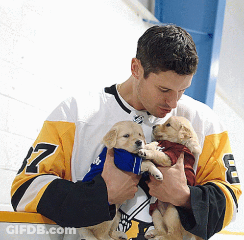 A Man In A Pittsburgh Jersey Holds Two Puppies GIF