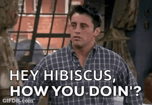 A Man In A Plaid Shirt Is Saying `` Hey Hibiscus , How You Doin '? '' . GIF
