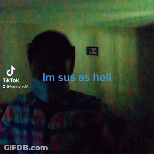 A Man In A Plaid Shirt Is Standing In A Dark Room With The Words Im Sus As Hell GIF