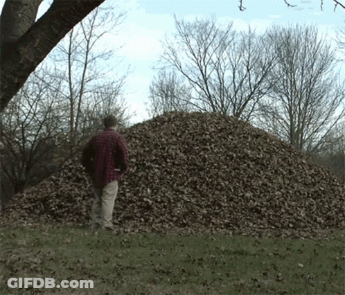 A Man In A Plaid Shirt Is Standing In Front Of A Large Pile Of Leaves GIF