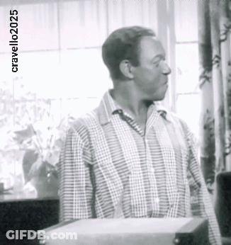 A Man In A Plaid Shirt Is Standing In Front Of A Window With The Words Cravelle20205 Below Him GIF