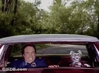 A Man In A Police Uniform Is Driving A Car With A Stuffed Cat In The Passenger Seat . GIF