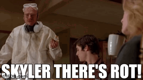 A Man In A Protective Suit Says Skyler There 'S Rot In Front Of A Group Of People GIF