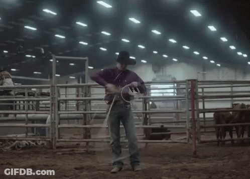 A Man In A Purple Shirt And Hat Is Holding A Lasso In A Rodeo Arena GIF