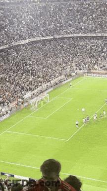 A Man In A Red Adidas Shirt Watches A Soccer Game In A Stadium GIF